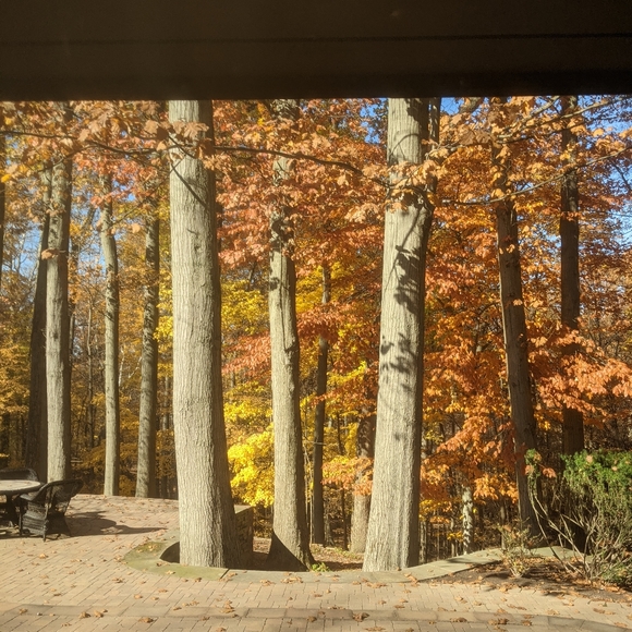 Meet your Posher, Elizabeth - Picture 5 of 10